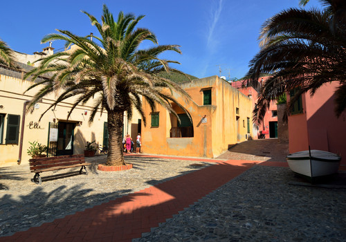 110761-800x561 110761-800x561