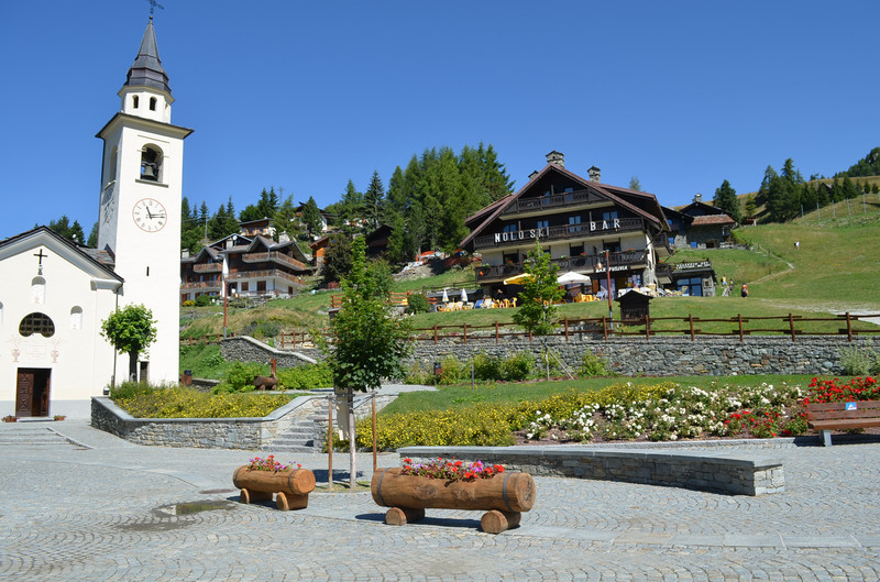 ''Chamois'' - Chamois