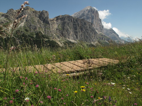 111275-800x599 111275-800x599