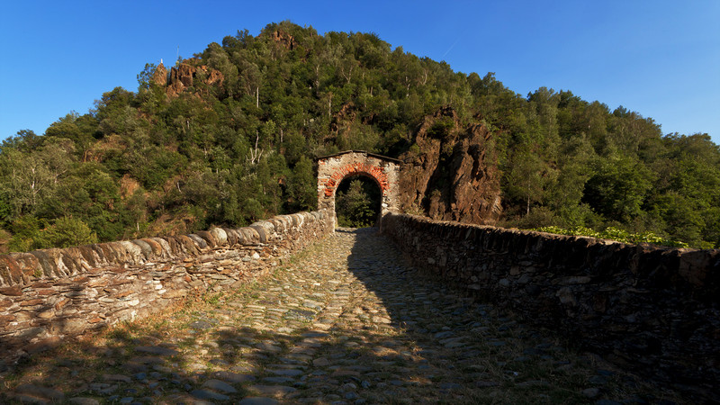 ''Prima il cane! (o il maiale, a scelta)'' - Lanzo Torinese