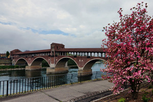 Primavera a Pavia