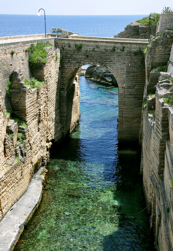 111606-555x800 111606-555x800