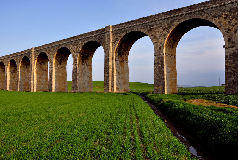 ''righine d’erba verso i cerchi'' - Spinazzola