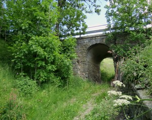 Tra il verde di Ozein