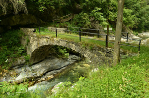 Ingresso al bosco incantato a rimirar fatine, gnomi e folletti