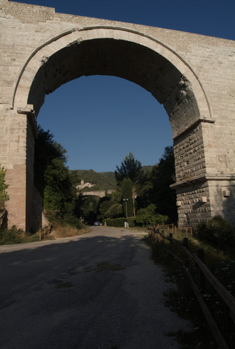 112146-537x800 112146-537x800