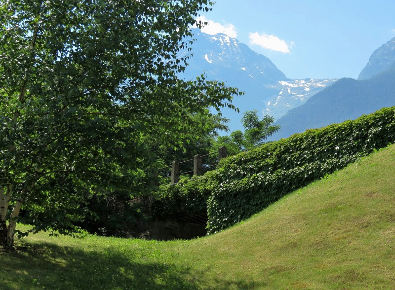 ''Rivestito dal verde'' - Quart