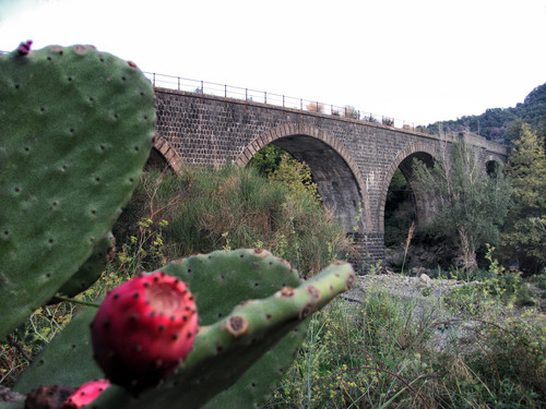 112963-800x600 112963-800x600