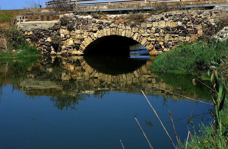 ''Riflessi antichi'' - Cabras