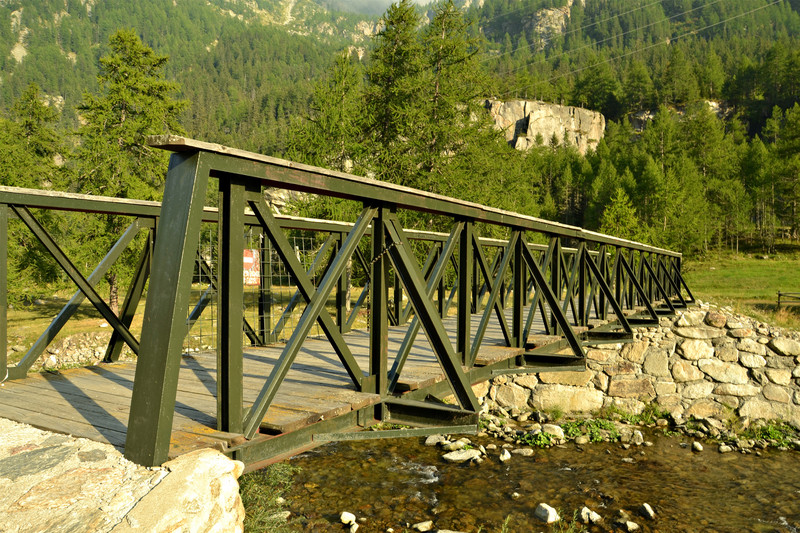 ''Verde nel verde'' - Ceresole Reale