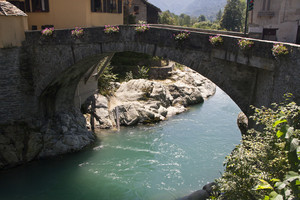 Sulle verdi acque del Sesia