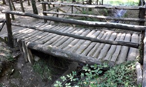 Ponte di legno della Foresta Umbra presso il laghetto