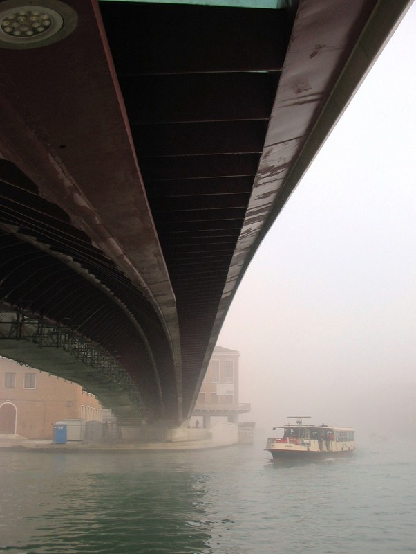 ''sotto il ponte Calatrava.'' - Venezia