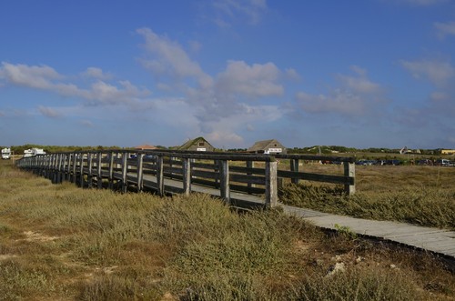 114663-800x529 114663-800x529