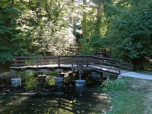 Ponte di legno su Lago Cifone