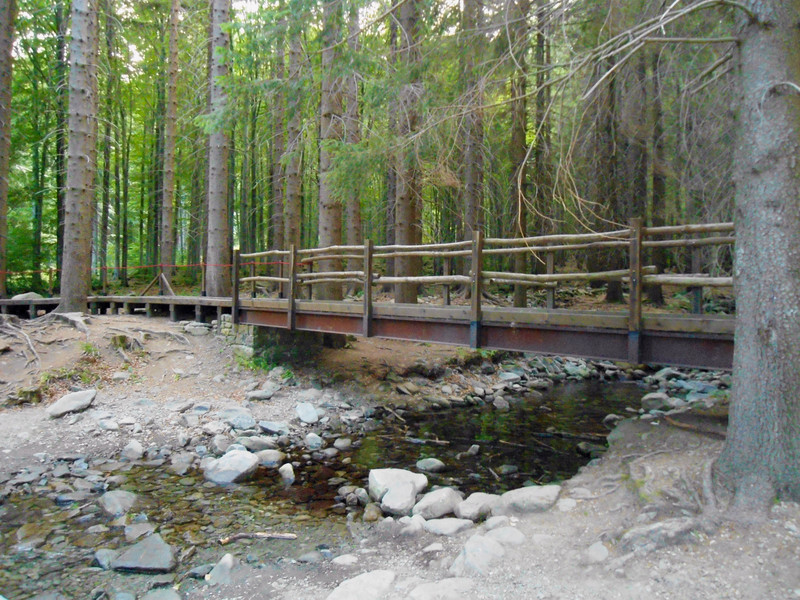 ''All’interno del parco dei Cento laghi'' - Corniglio