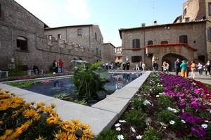 Piazza San Carluccio …