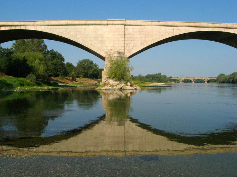 ''Pensavo fosse amore, invece era un calesse…'' - Pavia