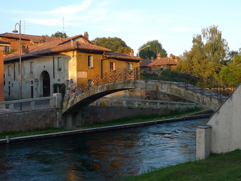 ''Le zanzare stanno arrivando…!!'' - Robecco sul Naviglio