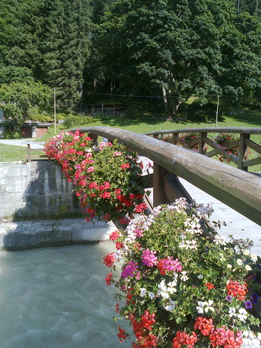 116794-600x800 116794-600x800