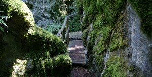 Xe pì fadiga tasére che parlare.