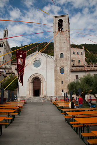 117464-533x800 117464-533x800