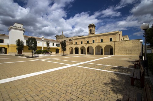 117718-800x533 117718-800x533