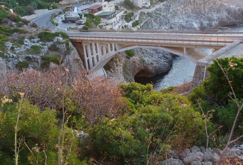 118039-800x545 118039-800x545