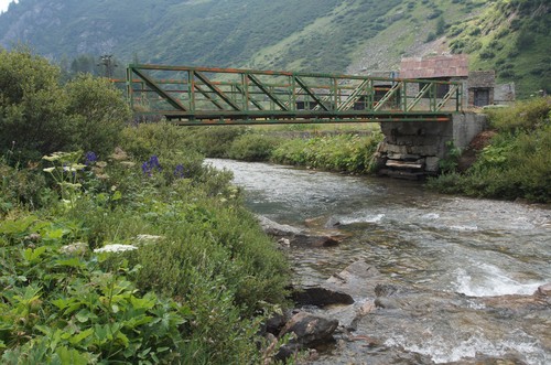 118429-800x530 118429-800x530