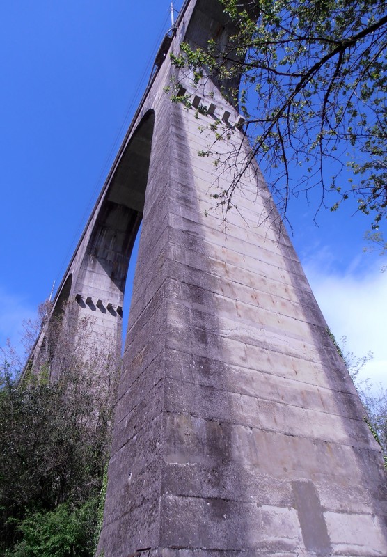 ''Il gigante'' - Pistoia