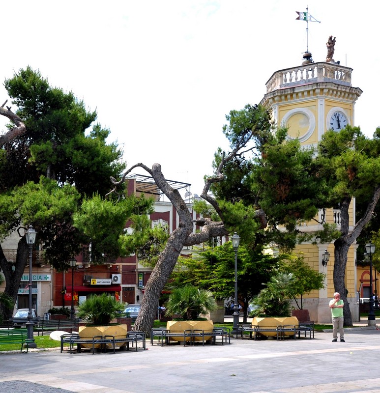 ''Piazza Umberto I con i pini e la Torre dell’Orologio'' - San Ferdinando di Puglia