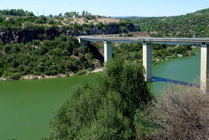 viadotto sul Cedrino