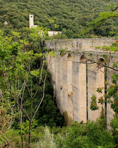 119574-638x800 119574-638x800