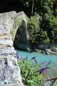 Tra fiori e azzurre acque