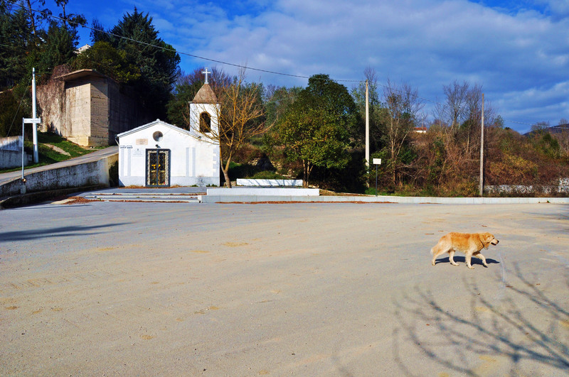 ''Piazza Beppe Montana – Commissario di P.S.'' - Contursi Terme