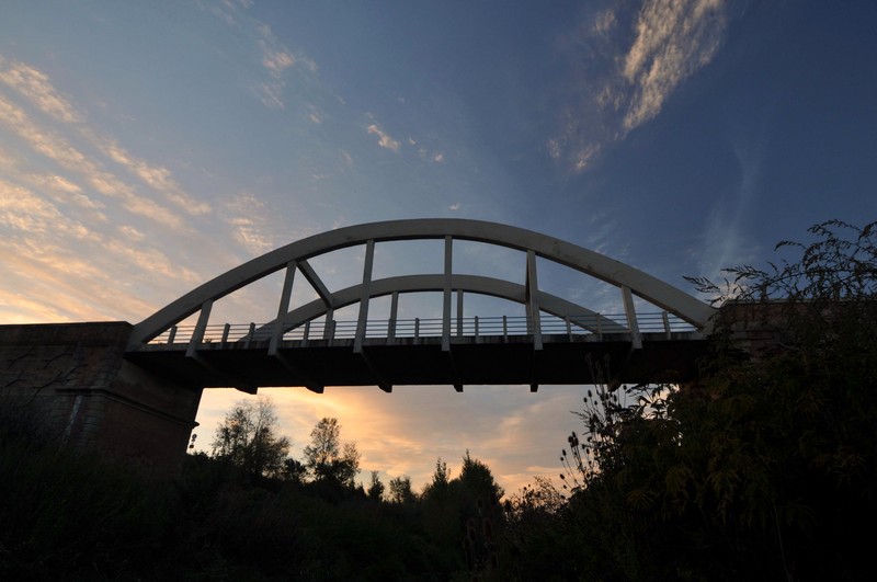 ''Maestro della Chiana'' - Castiglion Fiorentino