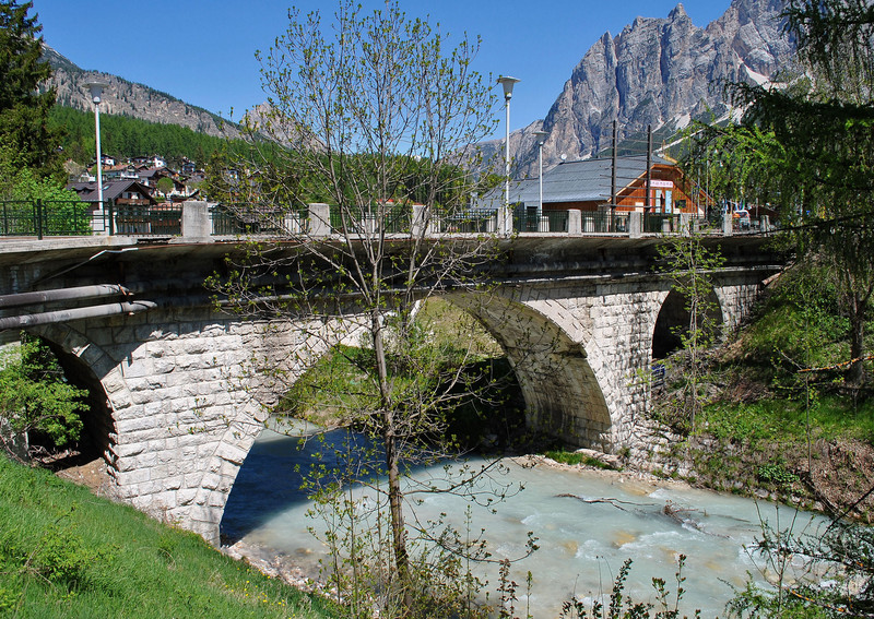 ''Una pianta di troppo'' - Cortina d'Ampezzo