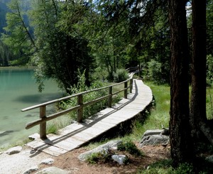 E adesso superiamo l’acquitrinio