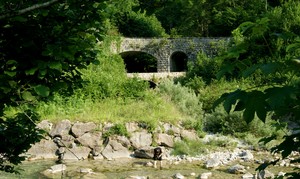 Mi sa che ha preso un granchio!