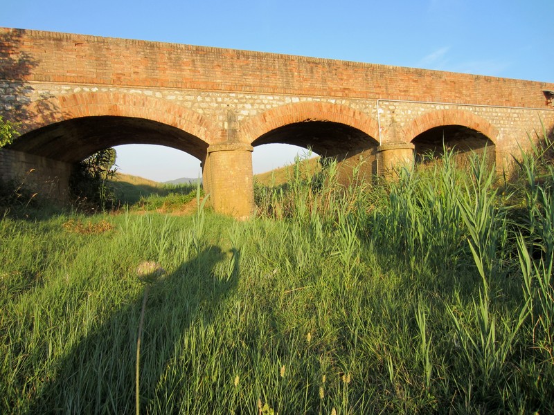 ''Ombre lunghe'' - Grosseto