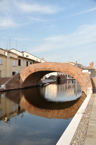 124915-531x800 124915-531x800