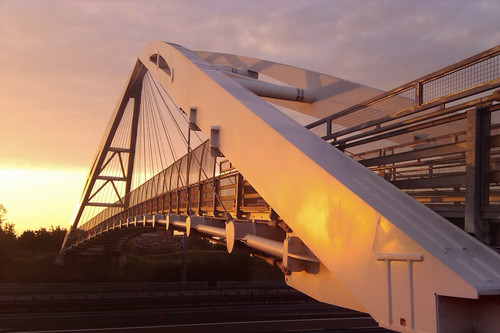 125311-800x533 125311-800x533