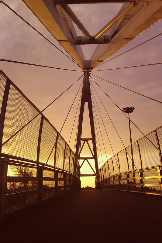 ''Architetture'' - Bologna