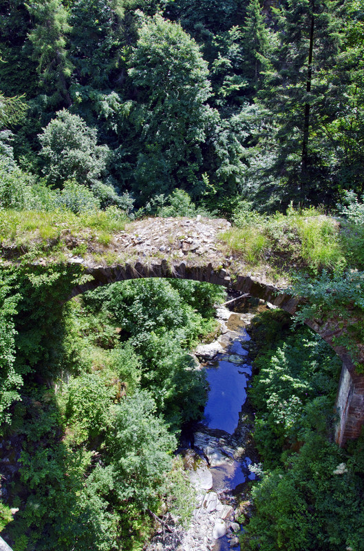 ''Testimone del passato della valle'' - Gerola Alta