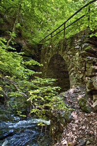 Un ponte di pietra nel bosco