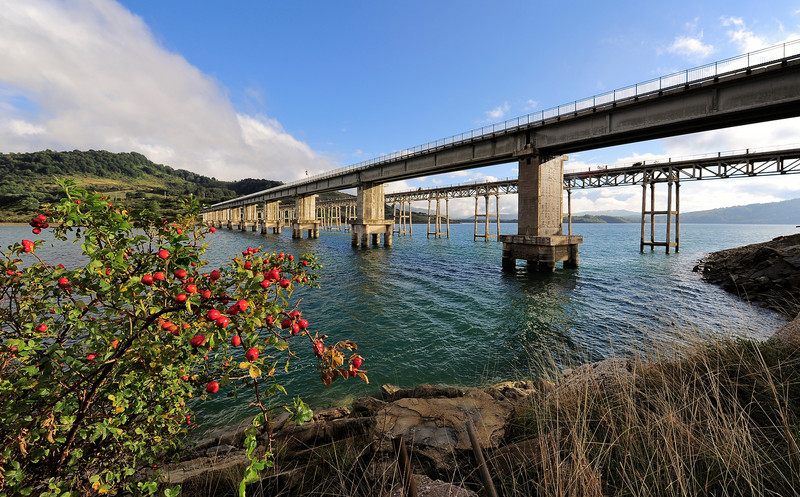 ''La rosa canina'' - Campotosto