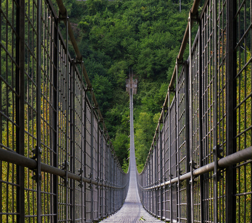 127111-800x709 127111-800x709