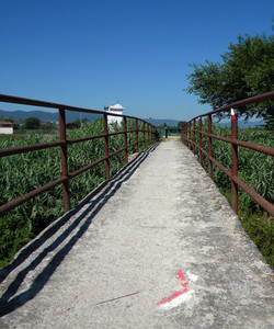 Un ponte, un sentiero