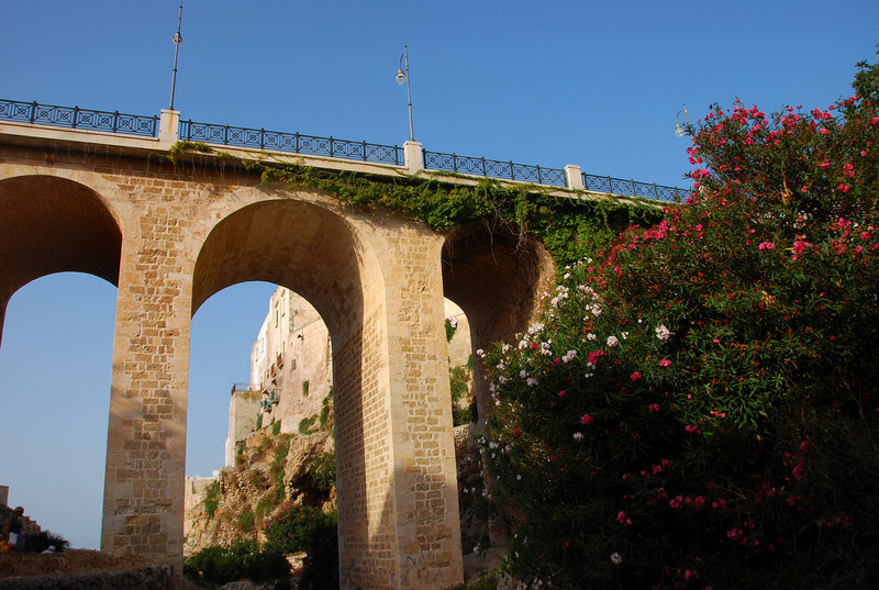 ''Oleandri in fiore'' - Polignano a Mare