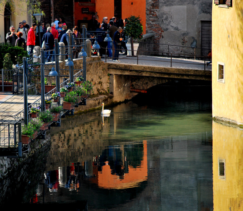 ''….ma quanti turisti!'' - Valeggio sul Mincio